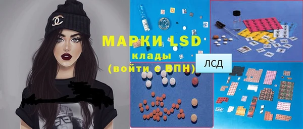 мяу мяу мука Аркадак