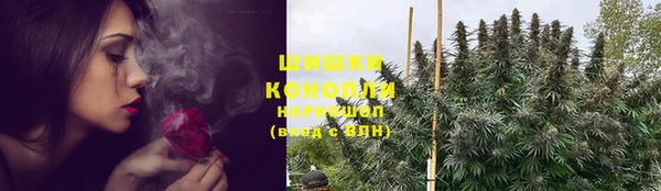 ГАЛЛЮЦИНОГЕННЫЕ ГРИБЫ Армянск