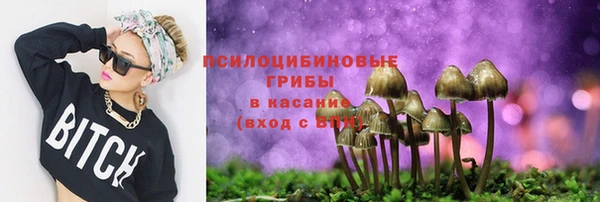 ГАЛЛЮЦИНОГЕННЫЕ ГРИБЫ Армянск
