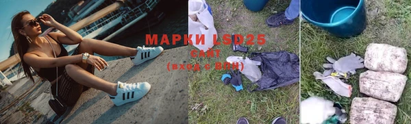 ГАЛЛЮЦИНОГЕННЫЕ ГРИБЫ Армянск