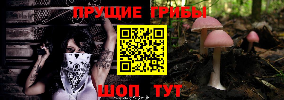Петропавловск-Камчатский  Галлюциногенные грибы ЛСД  Вход с VPN  Галлюциногенные грибы прущие грибы 